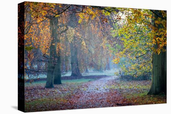 Autumn in Kew Gardens, UNESCO World Heritage Site, Kew, Greater London, England, UK-Simon Montgomery-Premier Image Canvas