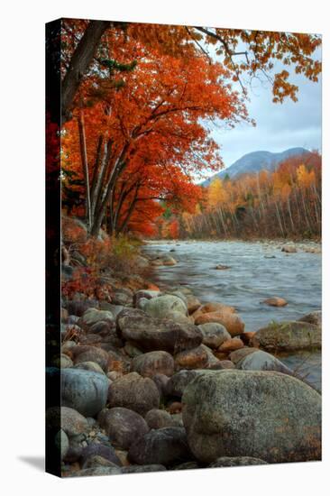 Autumn in New Hampshire, Riverside, Conway, Lincoln, Kancamagus-Vincent James-Premier Image Canvas
