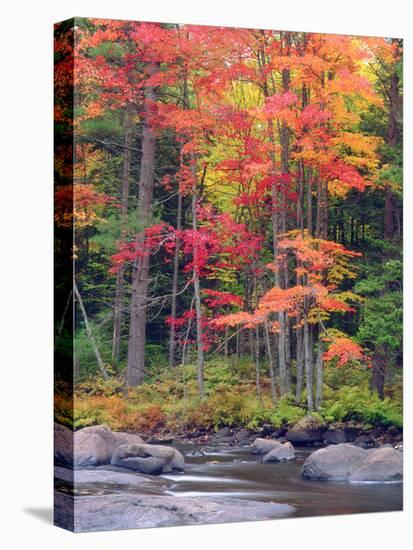 Autumn in the Adirondack Mountains, New York, Usa-Christopher Talbot Frank-Premier Image Canvas