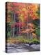 Autumn in the Adirondack Mountains, New York, Usa-Christopher Talbot Frank-Premier Image Canvas