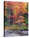 Autumn in the Adirondack Mountains, New York, Usa-Christopher Talbot Frank-Premier Image Canvas