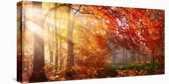 Autumn in the Forest, Sunrays Fall Through Mist and a Beautiful Red Tree-Smileus Images-Premier Image Canvas