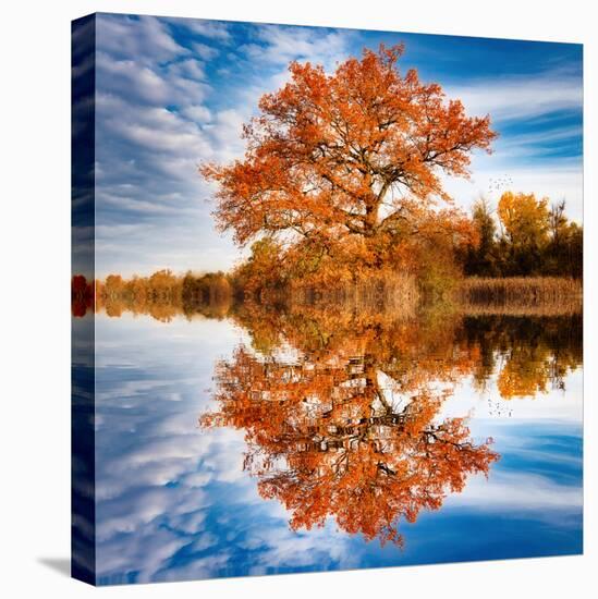 Autumn in the Reflection-Philippe Sainte-Laudy-Premier Image Canvas