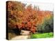 Autumn In Umbria Golden Colours-Dorothy Berry-Lound-Premier Image Canvas