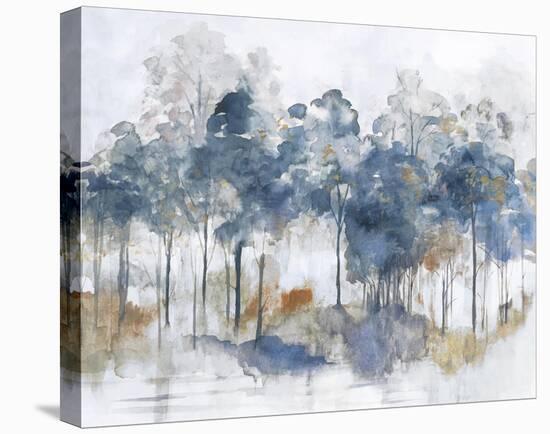 Autumn Indigo-Maya Woods-Stretched Canvas