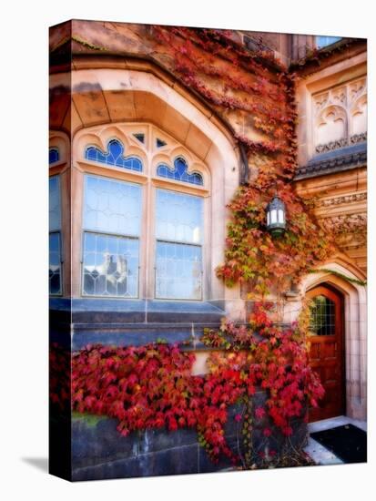 Autumn Ivy Princeton University New Jersey-George Oze-Premier Image Canvas