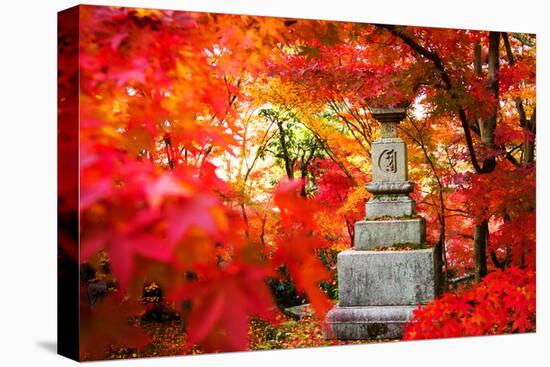 Autumn Japanese Garden with Maple-NicholasHan-Premier Image Canvas