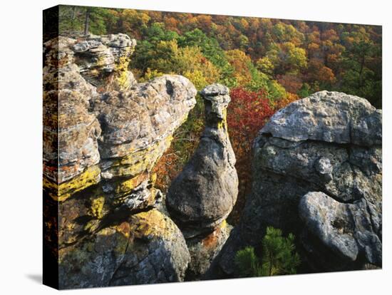 Autumn, Kings Bluff, Ozark-St. Francis National Forest, Arkansas, USA-Charles Gurche-Premier Image Canvas