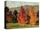 Autumn Landscape, circa 1903-Henri Edmond Cross-Premier Image Canvas