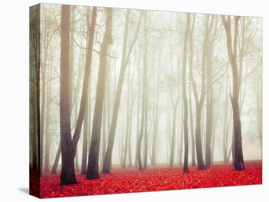 Autumn Landscape with Tall Bare Trees and Red Dry Fallen Leaves Covering the Ground-Marina Zezelina-Premier Image Canvas