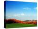 Autumn Landscape-null-Premier Image Canvas