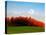 Autumn Landscape-null-Premier Image Canvas