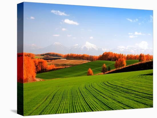 Autumn Landscape-null-Premier Image Canvas