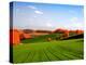 Autumn Landscape-null-Premier Image Canvas