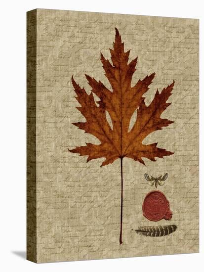 Autumn Leaf I-Sandy Lloyd-Stretched Canvas
