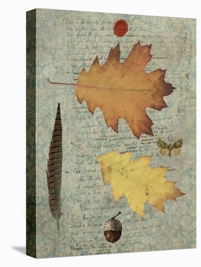 Autumn Leaf III-Sandy Lloyd-Stretched Canvas