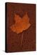 Autumn Leaf On Rust-Den Reader-Premier Image Canvas