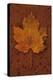 Autumn Leaf On Rust-Den Reader-Premier Image Canvas