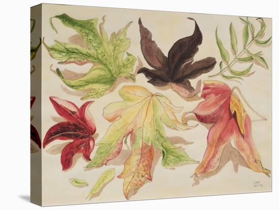 Autumn Leaves, 1993-Carolyn Hubbard-Ford-Premier Image Canvas