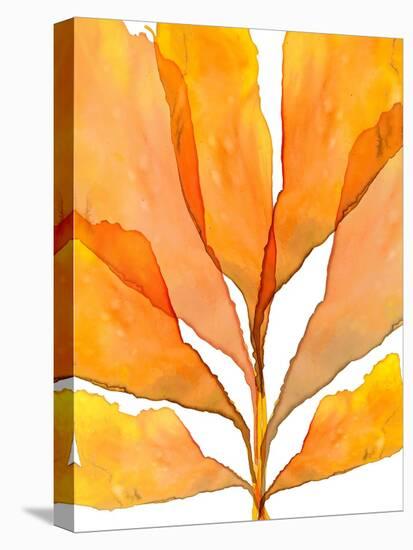 Autumn Leaves 2-THE Studio-Premier Image Canvas