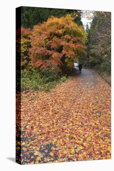 Autumn Leaves Along the Old Nakasendo Highway, Magome, Kiso Valley Nakasendo, Central Honshu, Japan-Stuart Black-Premier Image Canvas