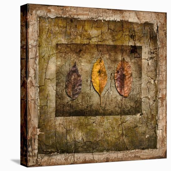 Autumn Leaves I-LightBoxJournal-Premier Image Canvas