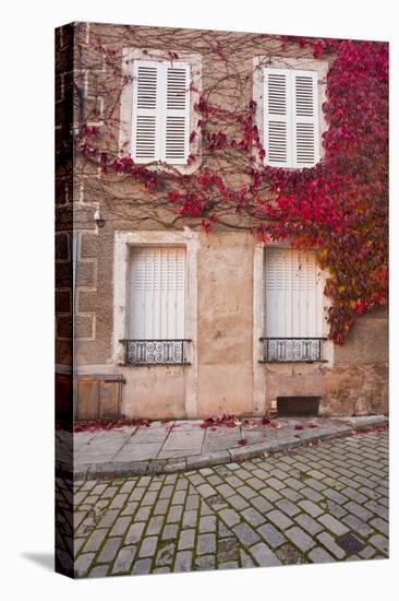 Autumn Leaves in Noyers-Sur-Serein-Julian Elliott-Premier Image Canvas