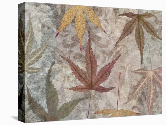 Autumn Leaves Maple-Cora Niele-Premier Image Canvas