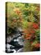 Autumn Leaves, Nakatsugawa, Fukushima, Japan-null-Premier Image Canvas