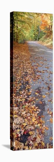 Autumn Leaves on a Road, Leland, Michigan, USA-null-Premier Image Canvas