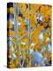 Autumn Leaves on Aspen Tree in the Sierra Nevada Range, Bishop, California, Usa-Dennis Flaherty-Premier Image Canvas