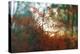 Autumn Light-Viviane Fedieu Daniel-Premier Image Canvas