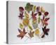 Autumn Magic-Bill Philip-Stretched Canvas