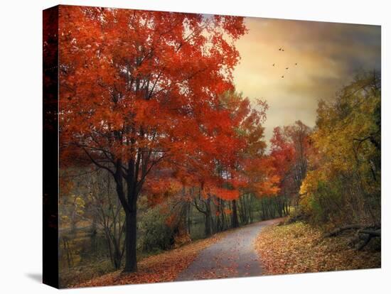 Autumn Maples-Jessica Jenney-Premier Image Canvas