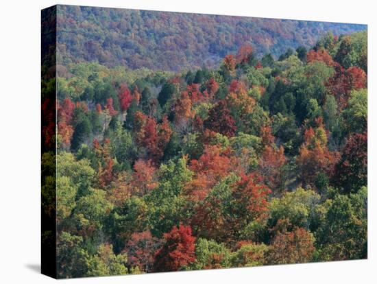 Autumn, Mark Twain National Forest, Missouri, USA-Charles Gurche-Premier Image Canvas