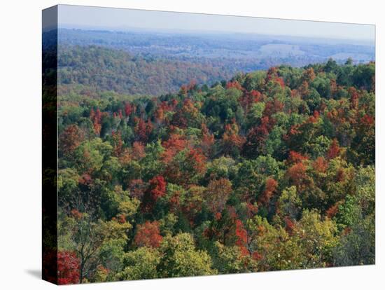 Autumn, Mark Twain National Forest, Missouri, USA-Charles Gurche-Premier Image Canvas