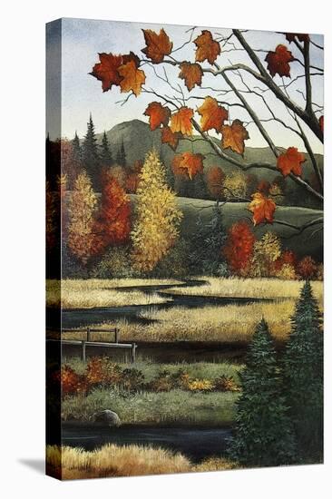 Autumn Marsh-Debbi Wetzel-Premier Image Canvas