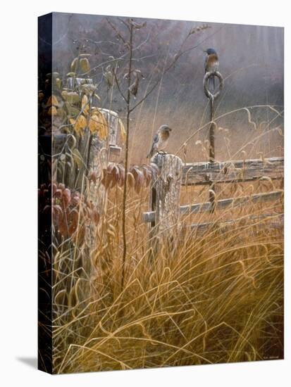 Autumn Mist-Michael Budden-Premier Image Canvas