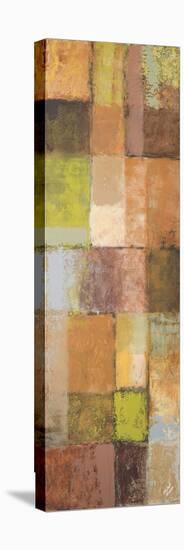Autumn Mixtures II-Michael Marcon-Stretched Canvas