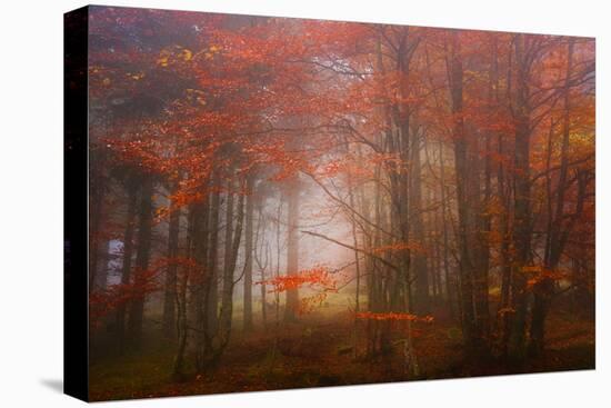 Autumn Mood-Philippe Sainte-Laudy-Premier Image Canvas