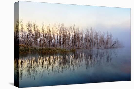 Autumn Morning and Fog on the River, the Autumn Season-Andriy Solovyov-Premier Image Canvas