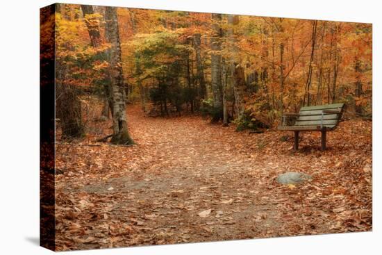 Autumn Near Trailhead at Sabbaday Falls-Vincent James-Premier Image Canvas