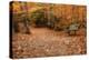 Autumn Near Trailhead at Sabbaday Falls-Vincent James-Premier Image Canvas