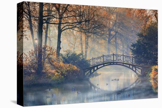 Autumn - Old Bridge in Autumn Misty Park-Gorilla-Premier Image Canvas