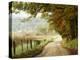 Autumn on a Country Road-Danny Head-Premier Image Canvas