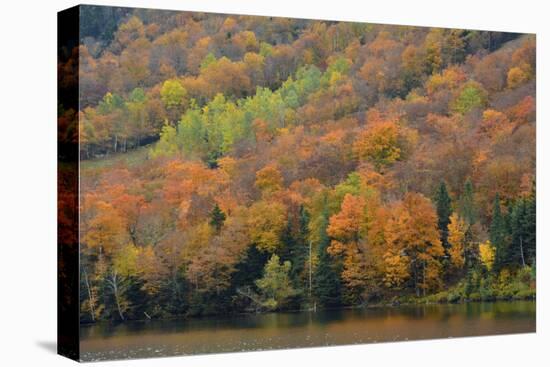 Autumn on Echo Lake, Franconia Notch State Park, New Hampshire, USA-Michel Hersen-Premier Image Canvas