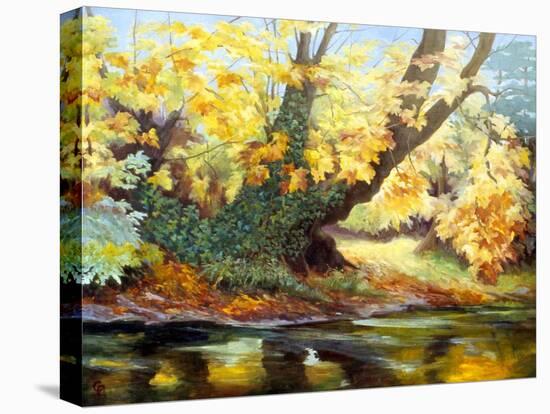 Autumn on the Darenth-Cristiana Angelini-Premier Image Canvas