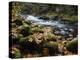 Autumn on the Salmon River, Welches, Oregon, USA-Michel Hersen-Premier Image Canvas