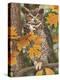 Autumn Owl-William Vanderdasson-Premier Image Canvas