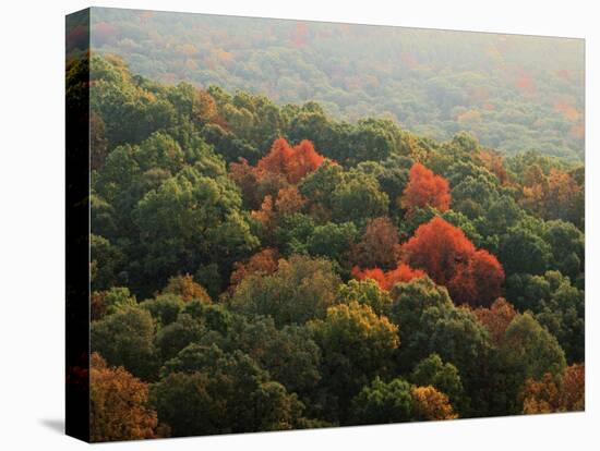 Autumn, Ozark-St. Francis National Forest, Arkansas, USA-Charles Gurche-Premier Image Canvas